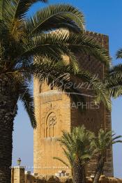 Image du Maroc Professionnelle de  Colonnes et minaret de la mosquée (Tour Hassan) qui fut construite à la fin du XIIe siècle par le Sultan Yacoub el Mansour (dynastie Almohade) désireux de construire la plus grande mosquée du monde doté de 400 colonnes, la construction n’a pas été achevé suite à la mort du sultan en 1199, La tour Hassan est le symbole de Rabat son esplanade abrite le Mausolée Mohammed V de Rabat, Jeudi 20 Octobre 2011. (Photo / Abdeljalil Bounhar)




